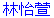 christine.gif (156 bytes)