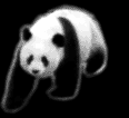 Ponda GIF from the St. Louis China Business Group website